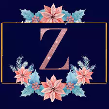 z name ki dp